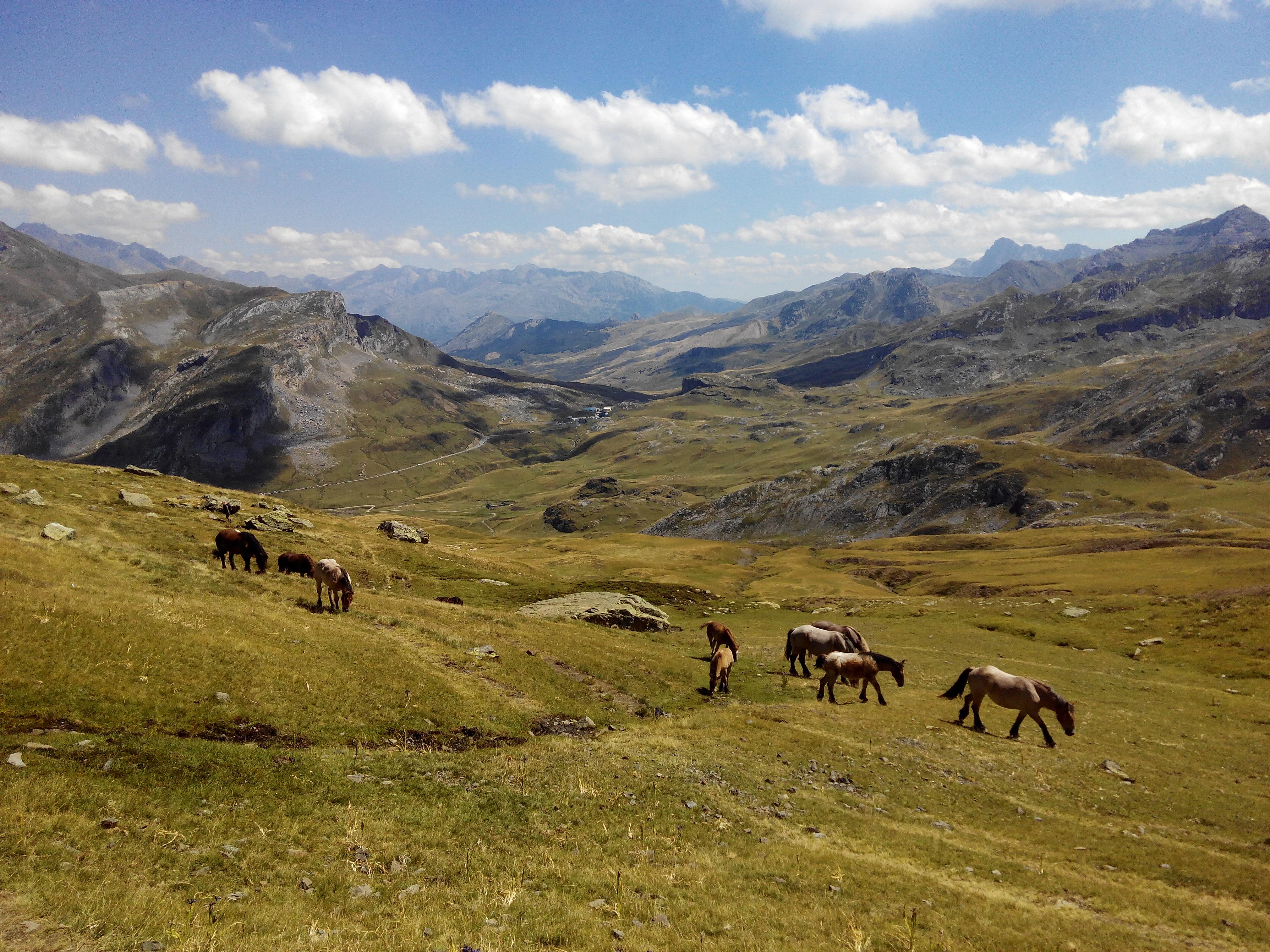Abadia Del Pirineo Hotel Трамакастиля де Тена Екстериор снимка