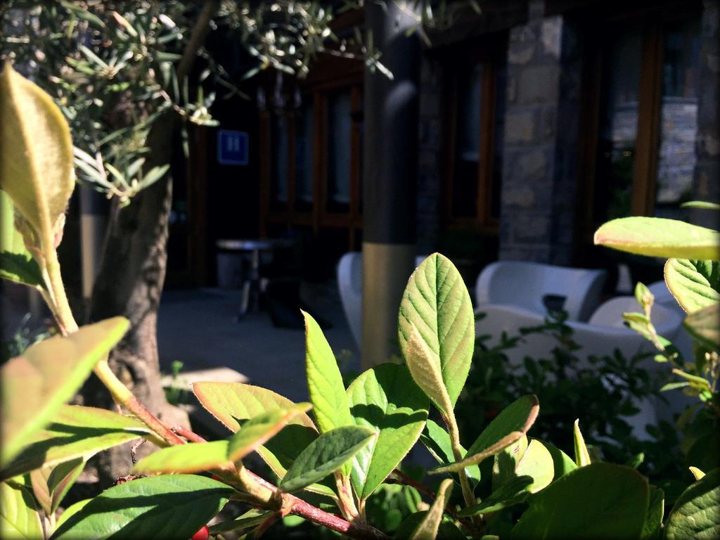 Abadia Del Pirineo Hotel Трамакастиля де Тена Екстериор снимка